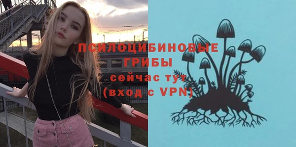 эйфоретик Алексеевка