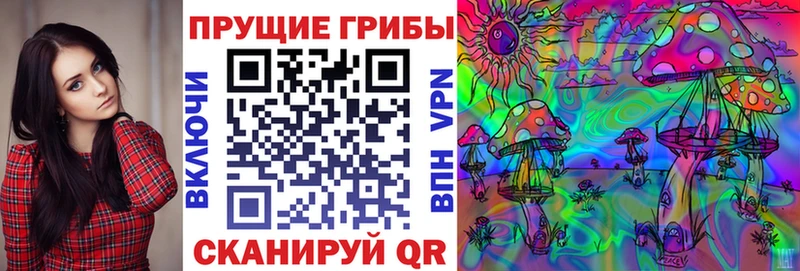 Купить закладки  Северобайкальск  Псилоцибиновые грибы MAGIC MUSHROOMS 